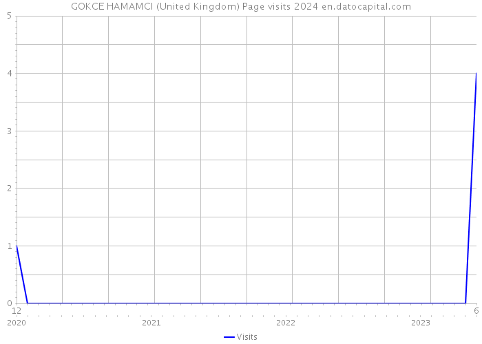 GOKCE HAMAMCI (United Kingdom) Page visits 2024 