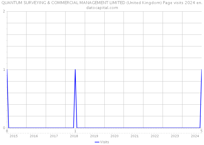 QUANTUM SURVEYING & COMMERCIAL MANAGEMENT LIMITED (United Kingdom) Page visits 2024 