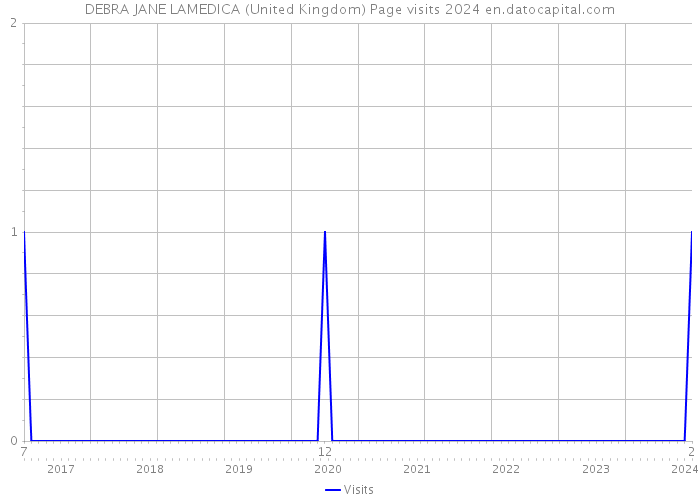 DEBRA JANE LAMEDICA (United Kingdom) Page visits 2024 