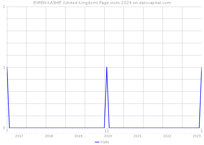 EVREN KASHIF (United Kingdom) Page visits 2024 