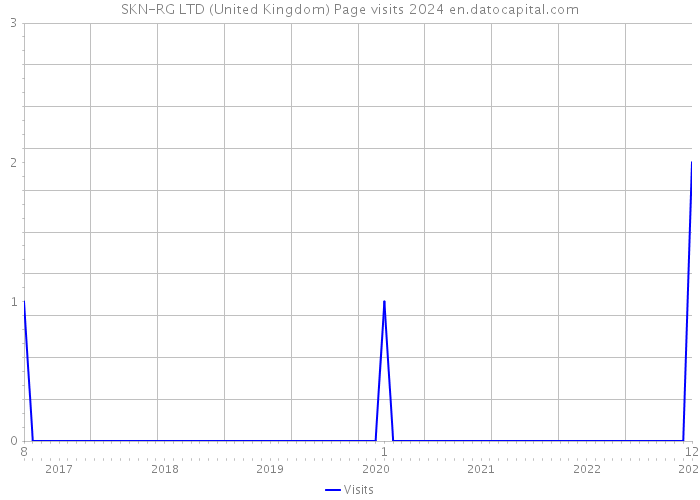 SKN-RG LTD (United Kingdom) Page visits 2024 