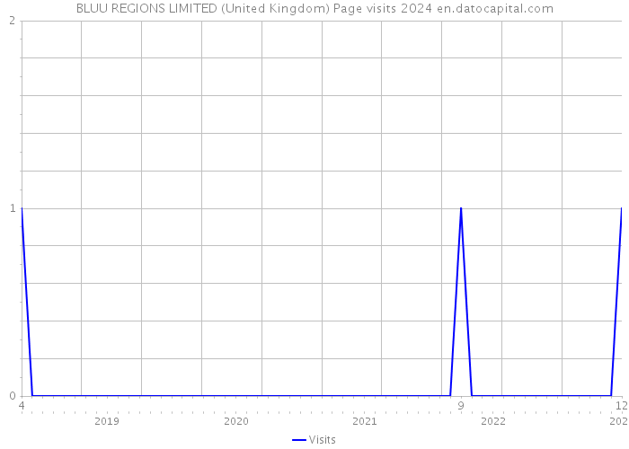 BLUU REGIONS LIMITED (United Kingdom) Page visits 2024 