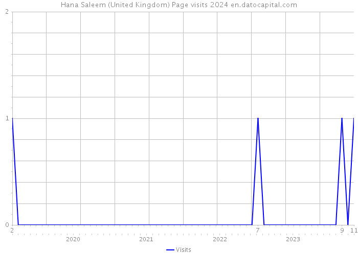 Hana Saleem (United Kingdom) Page visits 2024 