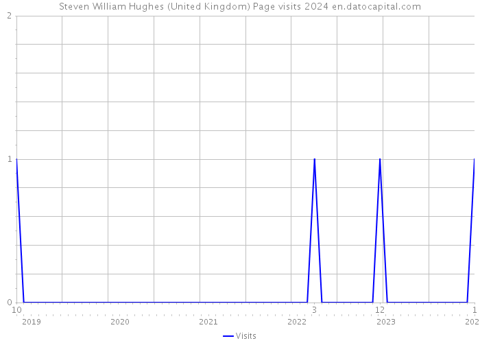 Steven William Hughes (United Kingdom) Page visits 2024 