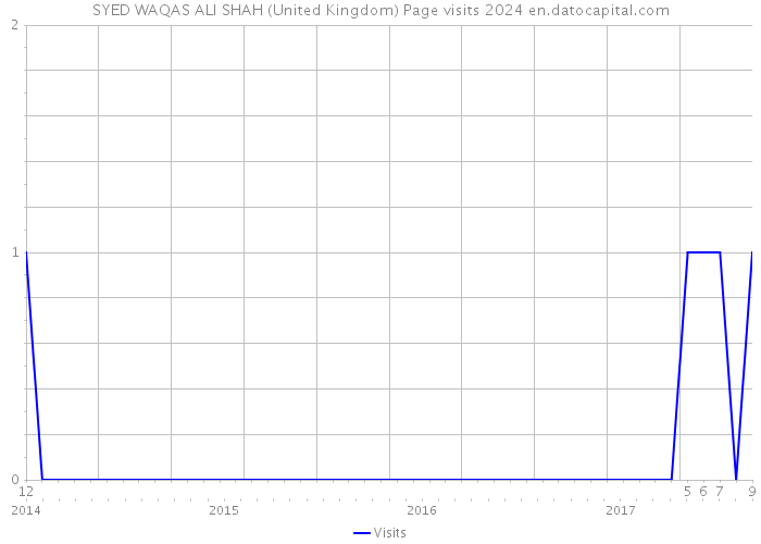 SYED WAQAS ALI SHAH (United Kingdom) Page visits 2024 