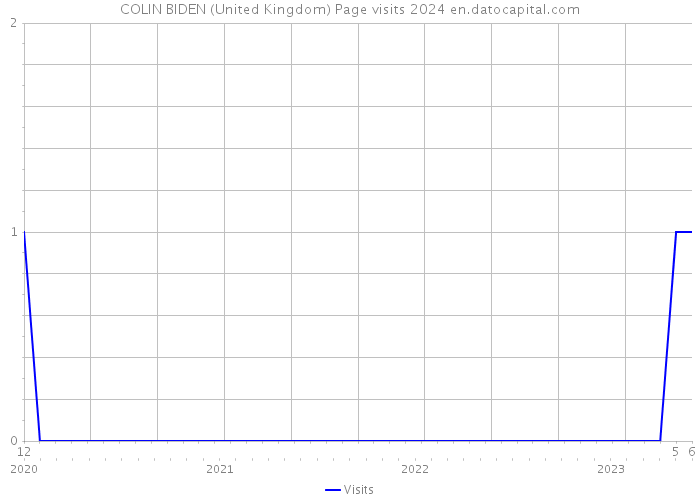 COLIN BIDEN (United Kingdom) Page visits 2024 