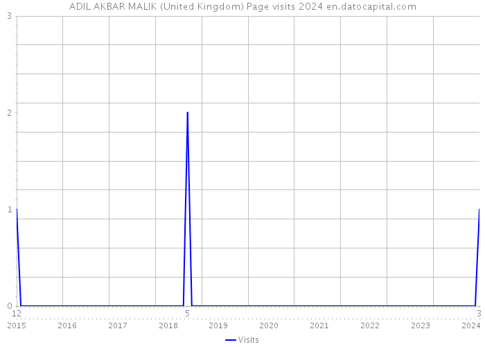 ADIL AKBAR MALIK (United Kingdom) Page visits 2024 
