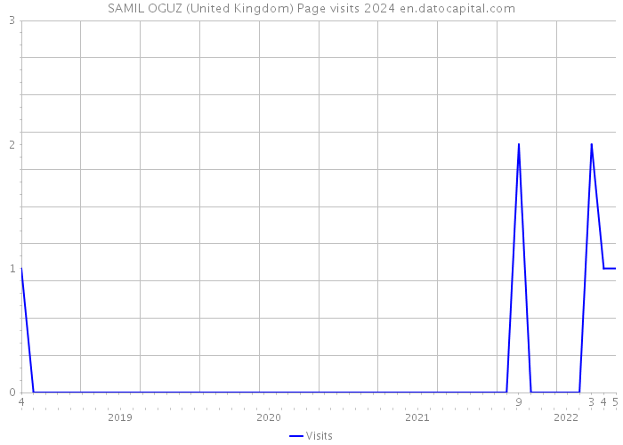 SAMIL OGUZ (United Kingdom) Page visits 2024 