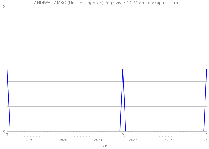 TANDIWE TAMBO (United Kingdom) Page visits 2024 