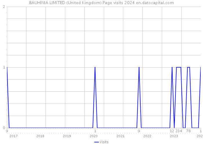 BAUHINIA LIMITED (United Kingdom) Page visits 2024 