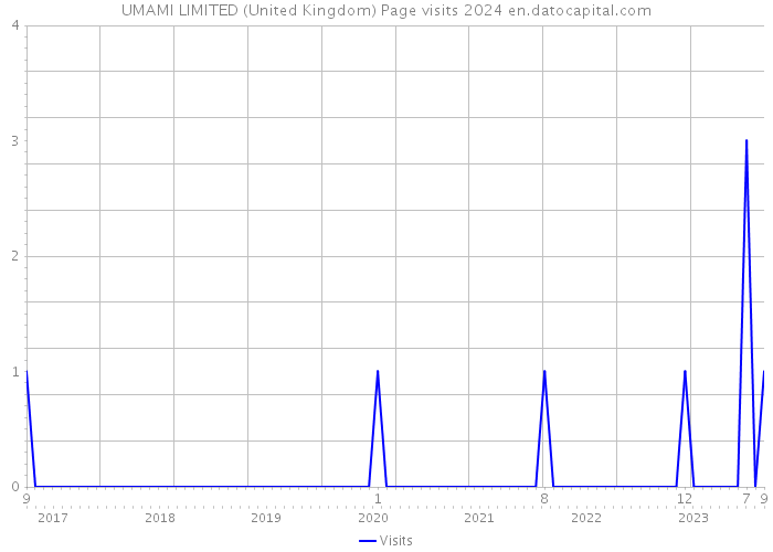 UMAMI LIMITED (United Kingdom) Page visits 2024 