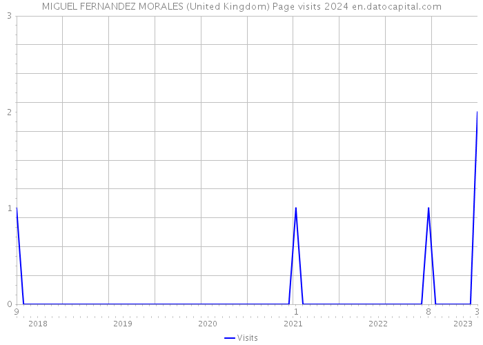 MIGUEL FERNANDEZ MORALES (United Kingdom) Page visits 2024 