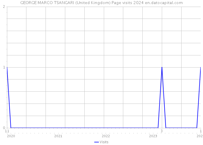 GEORGE MARCO TSANGARI (United Kingdom) Page visits 2024 