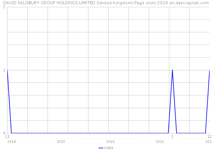 DAVID SALISBURY GROUP HOLDINGS LIMITED (United Kingdom) Page visits 2024 