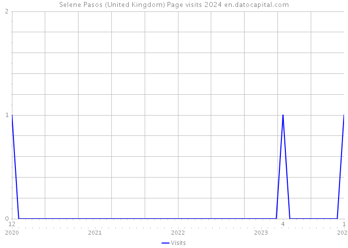 Selene Pasos (United Kingdom) Page visits 2024 