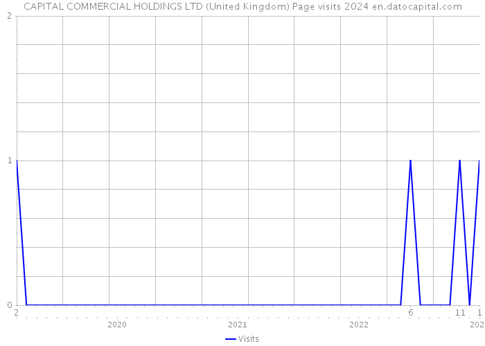 CAPITAL COMMERCIAL HOLDINGS LTD (United Kingdom) Page visits 2024 