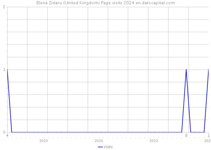 Elena Zidaru (United Kingdom) Page visits 2024 
