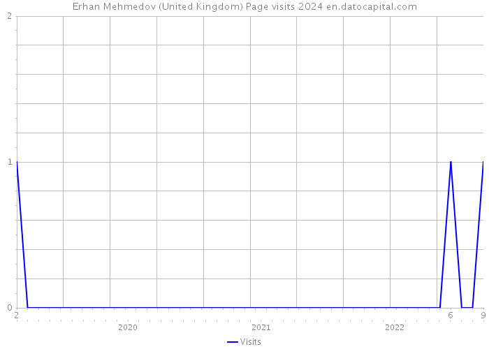 Erhan Mehmedov (United Kingdom) Page visits 2024 
