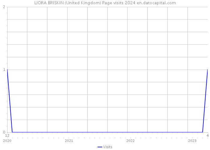 LIORA BRISKIN (United Kingdom) Page visits 2024 