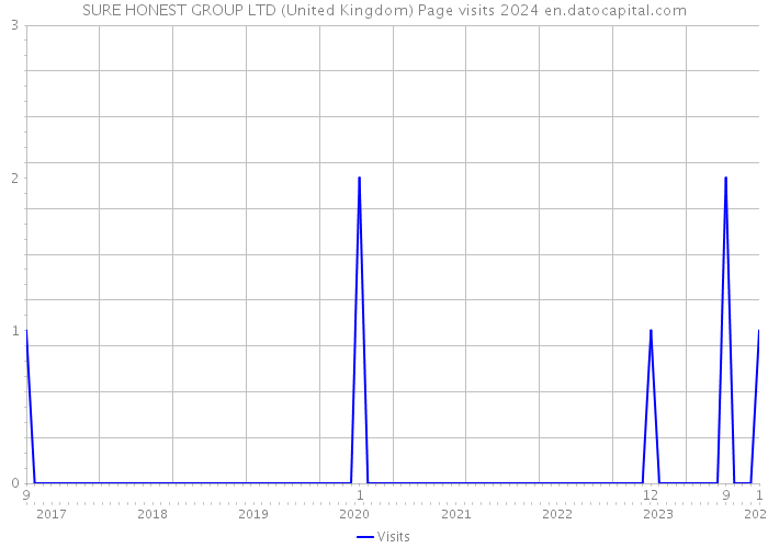 SURE HONEST GROUP LTD (United Kingdom) Page visits 2024 