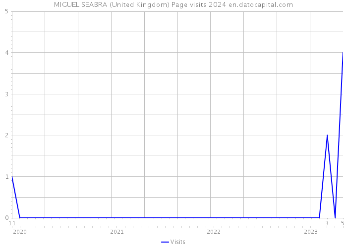 MIGUEL SEABRA (United Kingdom) Page visits 2024 