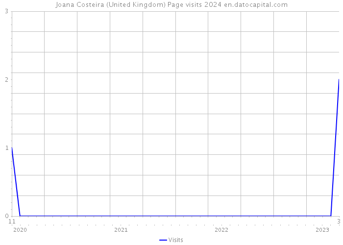 Joana Costeira (United Kingdom) Page visits 2024 
