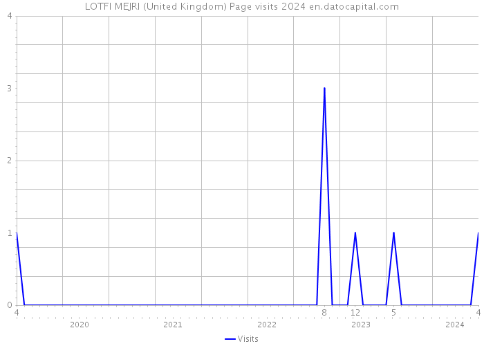 LOTFI MEJRI (United Kingdom) Page visits 2024 