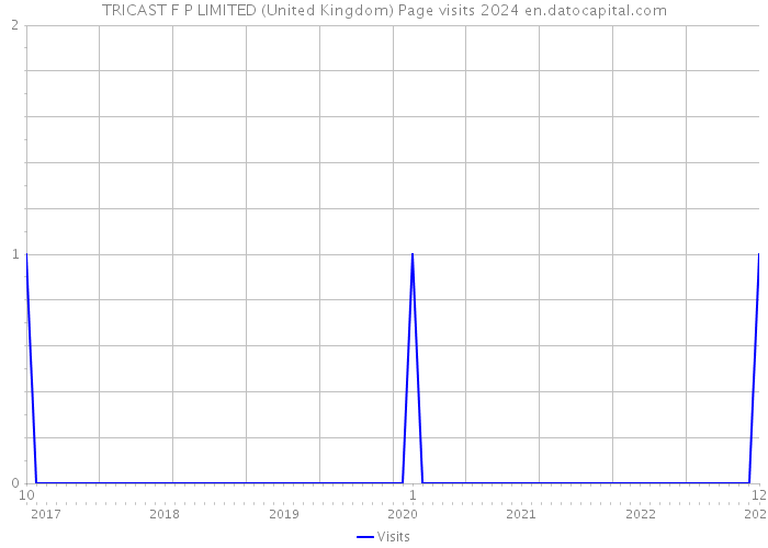 TRICAST F P LIMITED (United Kingdom) Page visits 2024 