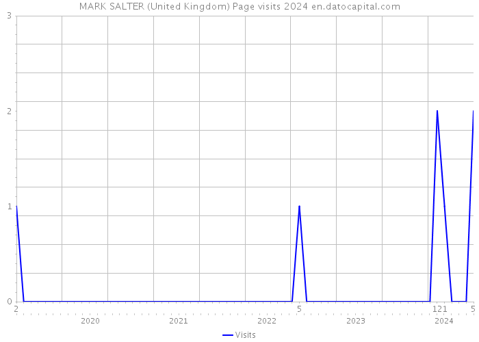 MARK SALTER (United Kingdom) Page visits 2024 