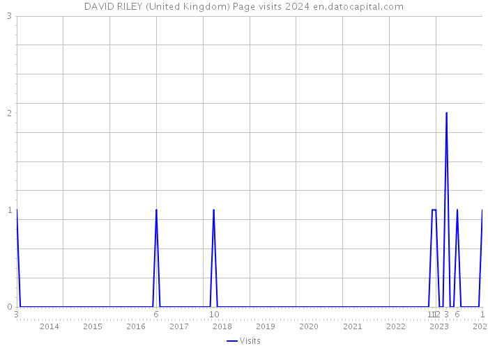 DAVID RILEY (United Kingdom) Page visits 2024 