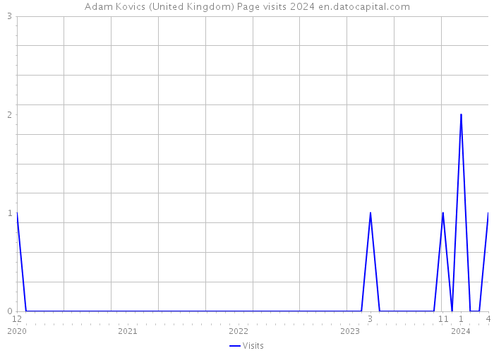 Adam Kovics (United Kingdom) Page visits 2024 