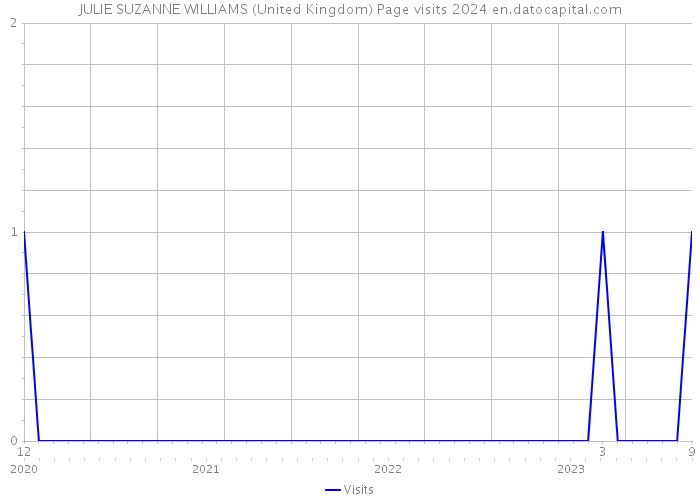 JULIE SUZANNE WILLIAMS (United Kingdom) Page visits 2024 