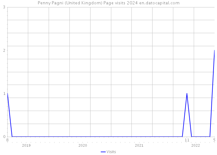 Penny Pagni (United Kingdom) Page visits 2024 