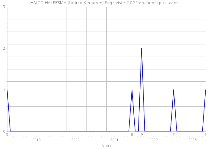 HAICO HALBESMA (United Kingdom) Page visits 2024 