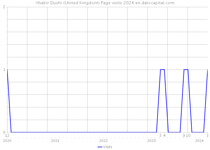 Xhabir Dushi (United Kingdom) Page visits 2024 