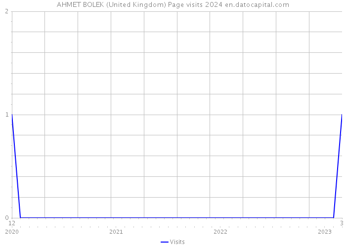 AHMET BOLEK (United Kingdom) Page visits 2024 