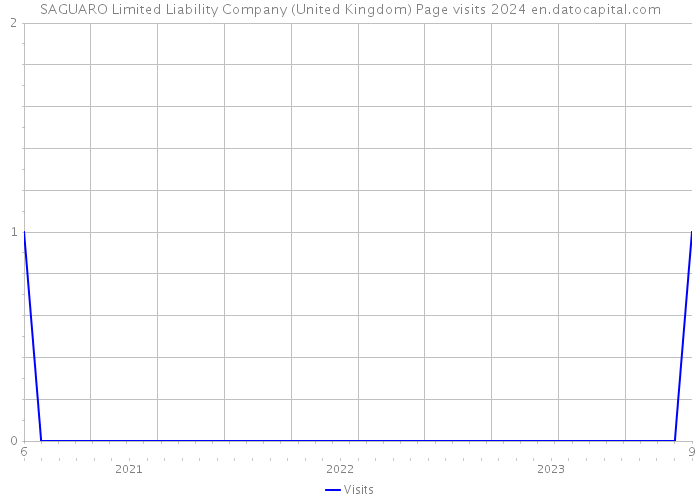 SAGUARO Limited Liability Company (United Kingdom) Page visits 2024 