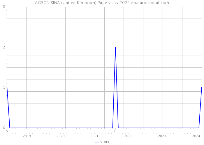 AGRON SINA (United Kingdom) Page visits 2024 