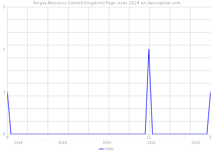 Sergey Belousov (United Kingdom) Page visits 2024 