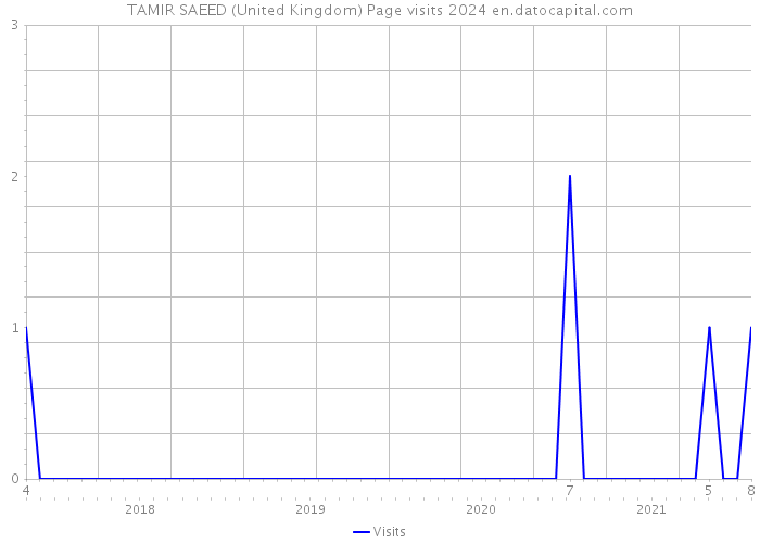 TAMIR SAEED (United Kingdom) Page visits 2024 