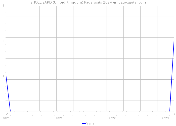 SHOLE ZARD (United Kingdom) Page visits 2024 