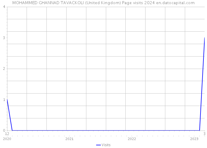 MOHAMMED GHANNAD TAVACKOLI (United Kingdom) Page visits 2024 