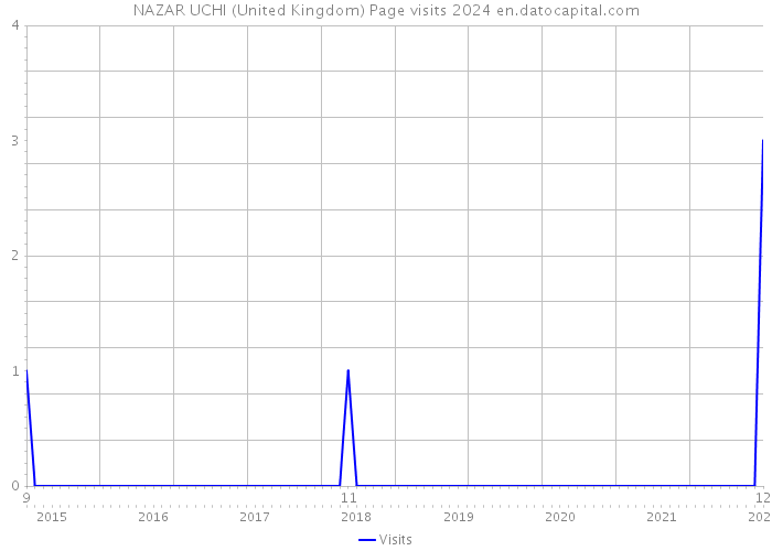 NAZAR UCHI (United Kingdom) Page visits 2024 