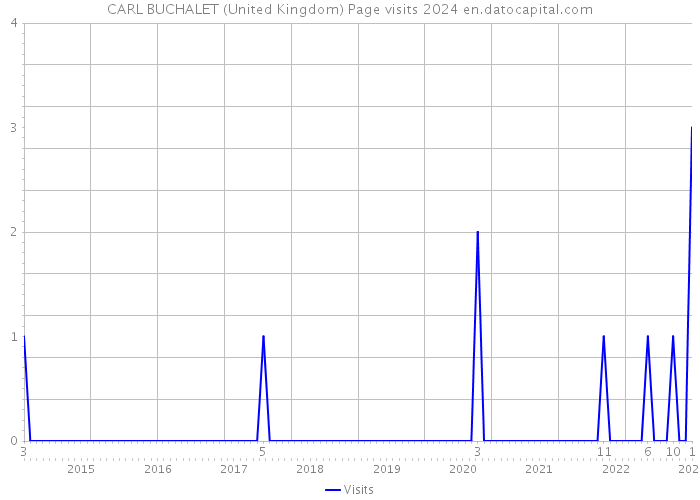 CARL BUCHALET (United Kingdom) Page visits 2024 