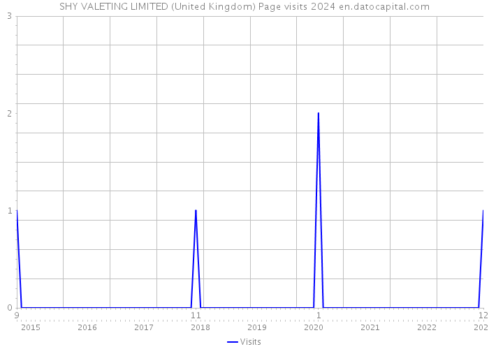 SHY VALETING LIMITED (United Kingdom) Page visits 2024 