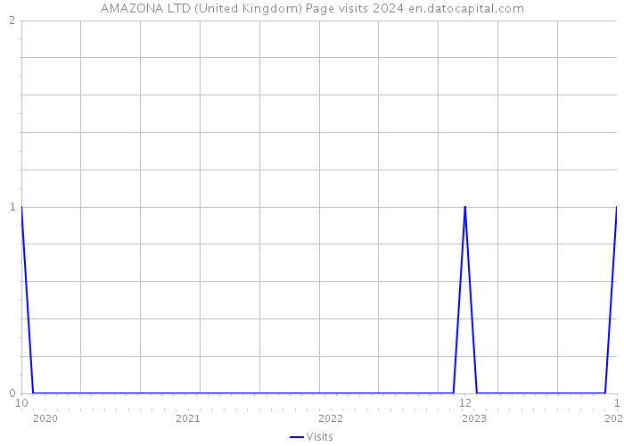 AMAZONA LTD (United Kingdom) Page visits 2024 
