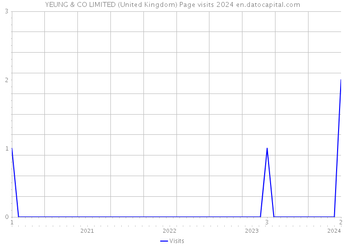 YEUNG & CO LIMITED (United Kingdom) Page visits 2024 