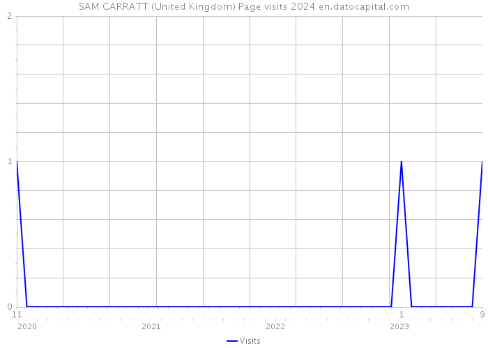 SAM CARRATT (United Kingdom) Page visits 2024 