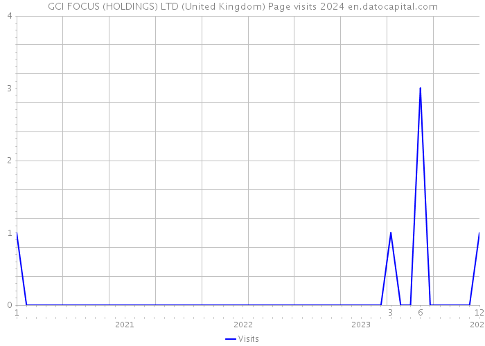 GCI FOCUS (HOLDINGS) LTD (United Kingdom) Page visits 2024 