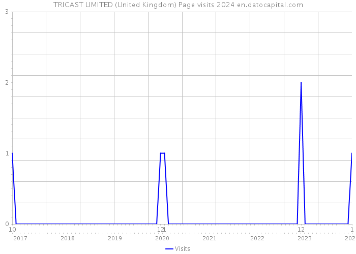 TRICAST LIMITED (United Kingdom) Page visits 2024 